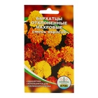 Семена цветов Бархатцы отклоненные, махровые «Смесь окрасок», 0.2 г - Фото 1