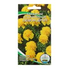 Семена цветов Бархатцы отклонные, махровые "Лемон дроп", 0,3 г - Фото 1