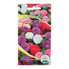 Семена цветов Астра, смесь,низкорослая, 0,2-0,25 г - Фото 1