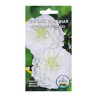 Семена цветов Цинния "Полярный медведь", 0,2-0,3 г - Фото 1