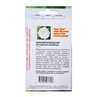 Семена цветов Цинния "Полярный медведь", 0,2-0,3 г - Фото 2