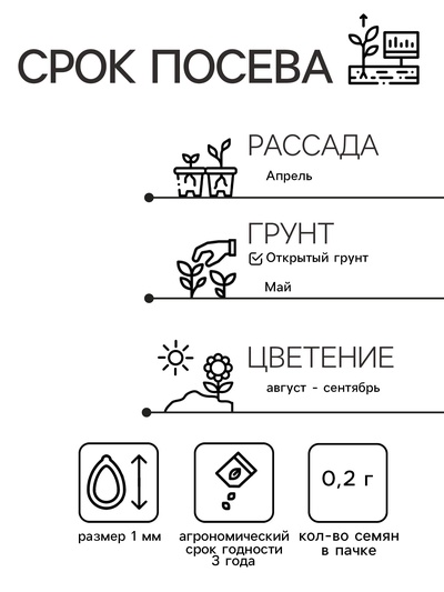 Семена цветов Цинния "Мечта", 0,2 г