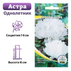 Семена цветов Астра пионовидная "Белая башня", 0,2 г - Фото 1
