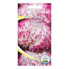 Семена цветов Астра пионовидная "Кварцевая башня", 0,2 г - Фото 1