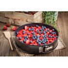 УЦЕНКА Форма для выпечки разъёмная «Элин. Круг», 24×7 см, с антипригарным покрытием - Фото 2