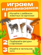 Развивающий набор фигурок для детей «Дикие животные» с карточками, по методике Домана - Фото 2