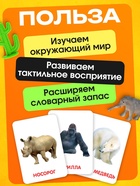 Развивающий набор фигурок для детей «Дикие животные» с карточками, по методике Домана - Фото 4