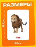 Развивающий набор фигурок для детей «Дикие животные» с карточками, по методике Домана - Фото 6