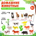 Развивающий набор фигурок для детей «Домашние животные» с карточками, по методике Домана - Фото 1