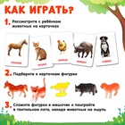 Развивающий набор фигурок для детей «Домашние животные» с карточками, по методике Домана - фото 6261781