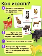 Развивающий набор «Домашние животные», по методике Домана, 9 карточек, 3-6 лет - Фото 2