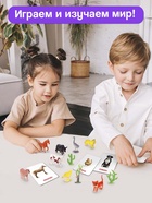 Развивающий набор «Домашние животные», по методике Домана, 9 карточек, 3-6 лет - Фото 3