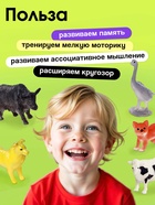 Развивающий набор «Домашние животные», по методике Домана, 9 карточек, 3-6 лет - Фото 4