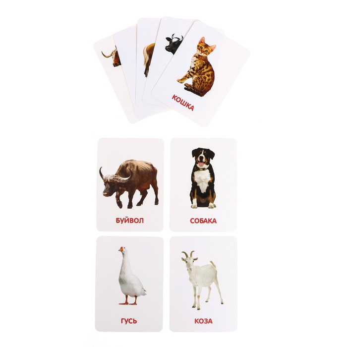 Развивающий набор фигурок для детей «Домашние животные» с карточками, по методике Домана - фото 1905614347