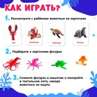 Развивающий набор с карточками «Водные животные», по методике Домана - Фото 2