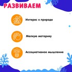 Развивающий набор с карточками «Водные животные», по методике Домана - Фото 3