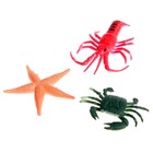 Развивающий набор с карточками «Водные животные», по методике Домана - Фото 5