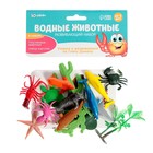 Развивающий набор с карточками «Водные животные», по методике Домана - Фото 7