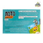 Настольная игра «Лото животные», набор пластиковых животных - фото 24438434