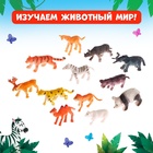 Настольная игра-бродилка «Путешествие вокруг света», набор пластиковых животных, карточки - фото 6261808