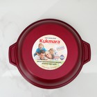 Кастрюля-жаровня, 3 л, с антипригарным покрытием, цвет бордовый 4743145