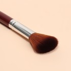 Кисть для макияжа, 14 (+/- 1) см, цвет коричневый - Фото 5