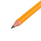 Карандаш чернографитный HB, Calligrata, пластиковый, оранжевый - Фото 2