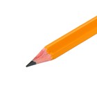 Карандаш чернографитный НB, Calligrata, с ластиком, пластиковый, оранжевый - Фото 2