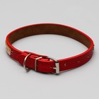 Ошейник со стразами в 3 рядов, 47 х 2 см, микс цветов - фото 44864340