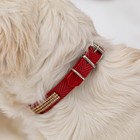 Ошейник со стразами в 3 рядов, 47 х 2 см, микс цветов - фото 44737488