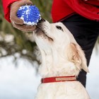 Ошейник со стразами в 3 рядов, 47 х 2 см, микс цветов - фото 44737490