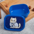 Ланч - бокс прямоугольный «Кот», 150 мл - Фото 2