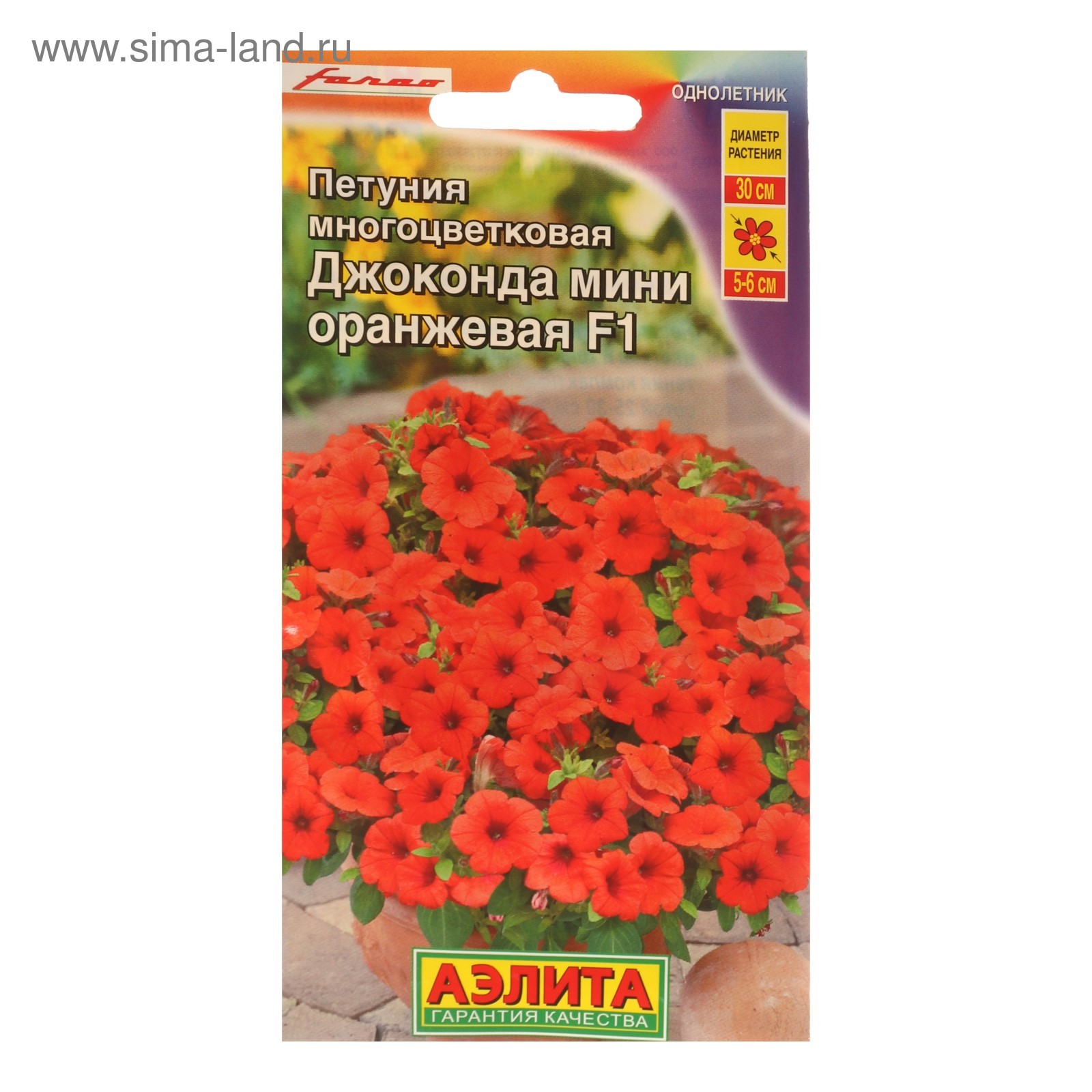 Семена петуния Агрофирма Партнер Итальянка Виолетта F1 221651 1 уп. - купить в M