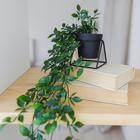 Подставка для цветов Доляна «Геометрика», d=8,3 см, 9,8×9,8×8 см цвет чёрный - Фото 5
