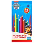 Цветные карандаши, 12 цветов, трехгранные, Щенячий патруль - фото 7712962
