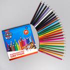 Цветные карандаши, 12 цветов, трехгранные, Щенячий патруль - фото 6262906