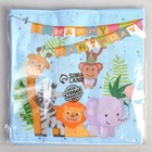 Салфетки бумажные «С днём рождения», 33×33 см, набор 20 шт. - Фото 3