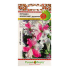 Семена цветов Петуния супертуния "Фриллитуния" F1, двуцветная, 10 шт - Фото 1