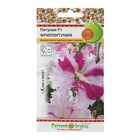 Семена цветов Петуния супертуния "Фриллитуния" F1, двуцветная, 10 шт - Фото 3