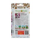 Семена цветов Петуния супертуния "Фриллитуния" F1, двуцветная, 10 шт - Фото 4