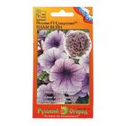 Семена цветов Петуния супертуния "Плам вайн" F1, 6 шт - Фото 1