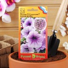 Семена цветов Петуния супертуния "Плам вайн" F1, 6 шт - Фото 5