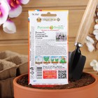 Семена цветов Петуния супертуния "Плам вайн" F1, 6 шт - Фото 6