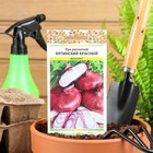 Семена Лук репчатый "Ялтинский красный", 0,3 г - Фото 1