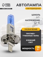Лампа автомобильная AVS SPECTRAS Xenon 5000K, H1, 12 В, 75 Вт, + T10, набор 2 шт. - Фото 1