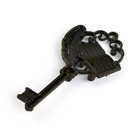 Ключ сувенирный на Выпускной «К знаниям», металл, 4 х 7,8 см - фото 7755023
