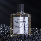 Туалетная вода мужская Ocean Platinum, 100 мл (по мотивам Egoiste Platinum (Chanel) - Фото 2