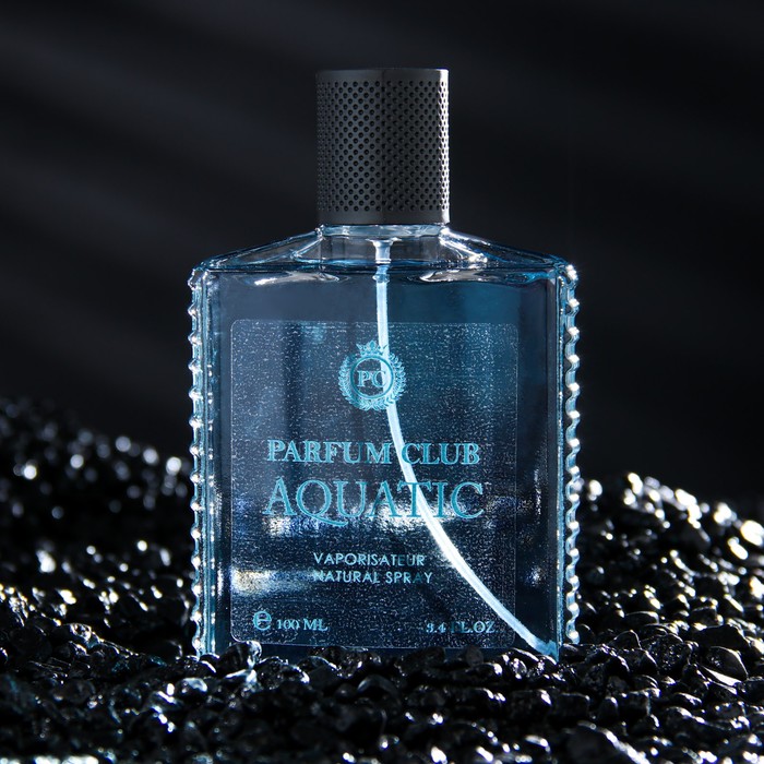 Туалетная вода мужская Parfum Club Aquatic, 100 мл (по мотивам Acqua Di Gio (G.Armani) - фото 1895316182