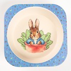 Миска - тарелочка детская из бамбука, рисунок и цвет МИКС, 250 мл, 14х14х3,5 - фото 42847489