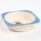 Миска - тарелочка детская из бамбука, рисунок и цвет МИКС, 250 мл, 14х14х3,5 - фото 42847487